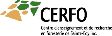 Logo-Cerfo