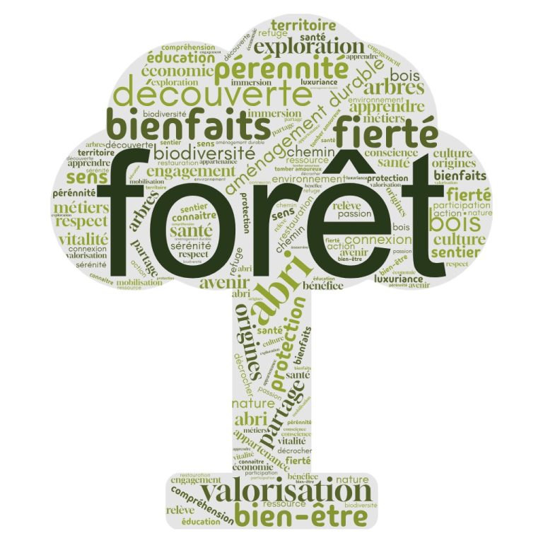arbre de mots (1)